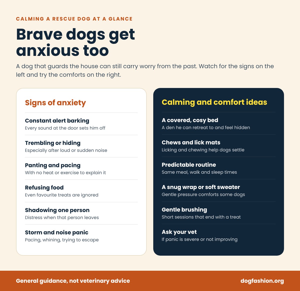 Infographic: signs of anxiety in a rescue dog and calming and comfort ideas that help
