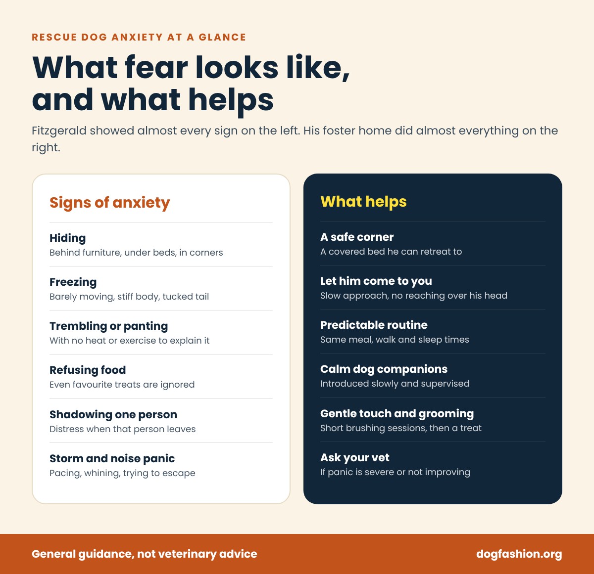 Infographic: six signs of anxiety in a rescue dog and six things that help