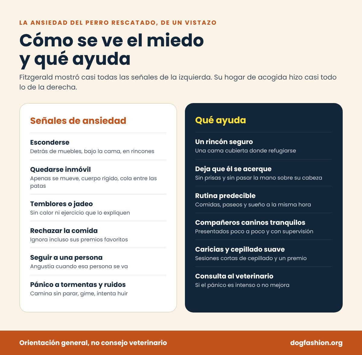 Infografía: seis señales de ansiedad en un perro rescatado y seis cosas que ayudan
